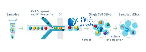 中國(guó)人自己的微流控單細(xì)胞測(cè)序儀來了！_微流控Drop-seq,微流控技術(shù)