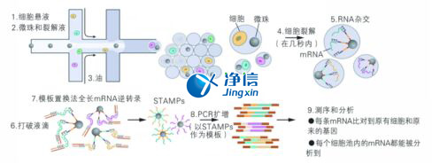 中國(guó)人自己的微流控單細(xì)胞測(cè)序儀來了！_微流控Drop-seq