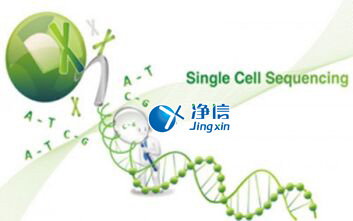 中國(guó)人自己的微流控單細(xì)胞測(cè)序儀來了！_微流控Drop-seq,微流控技術(shù)