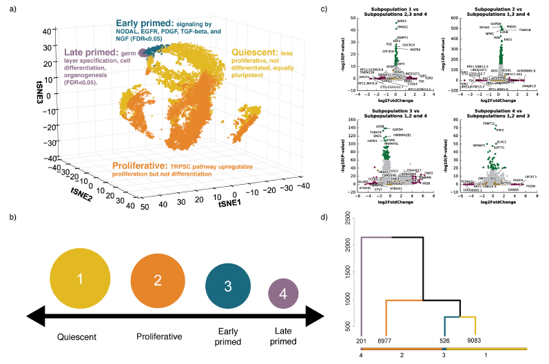 單細胞測序,單細胞測序技術,Drop-seq